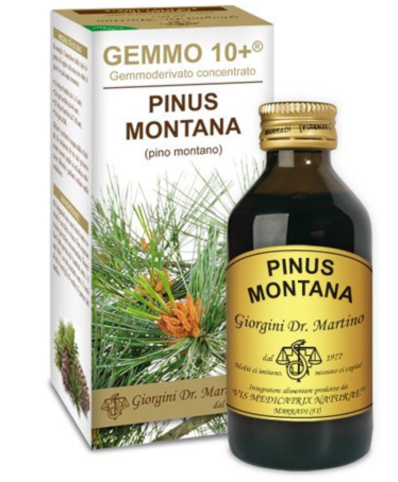 PINO MONT 100ML ANALCO GEM 10+