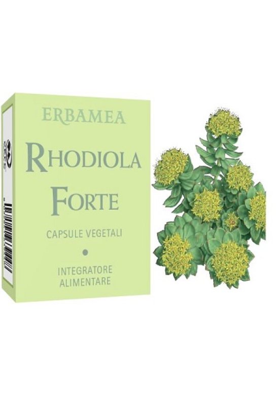 RHODIOLA FORTE 24CPS