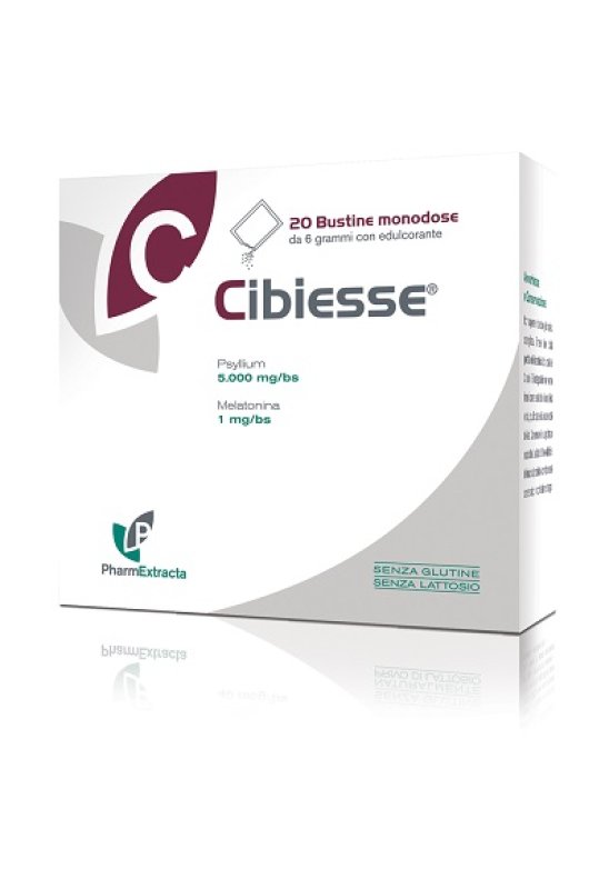 CIBIESSE 20BUST