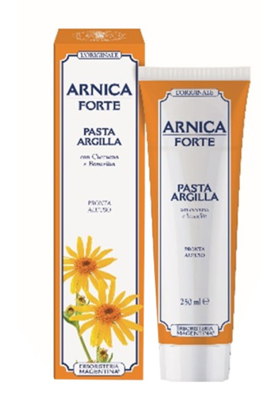 ARNICA FORTE PASTA ARGILL250ML