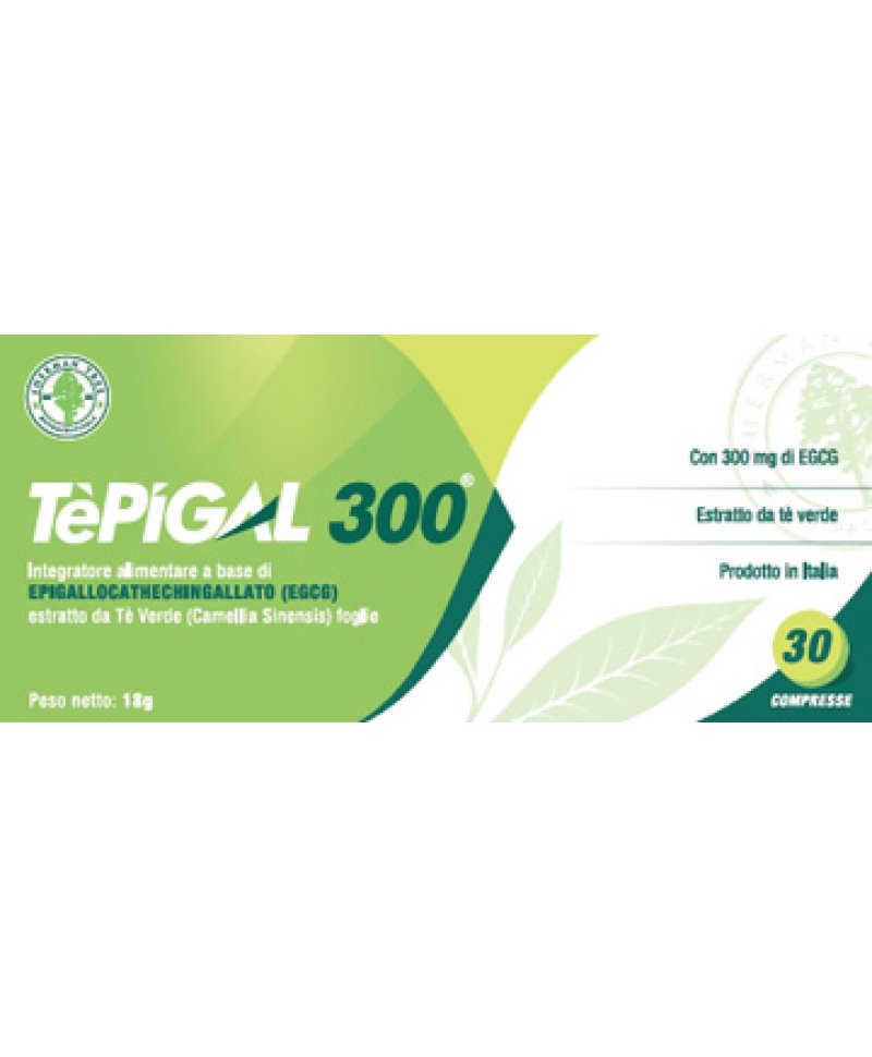 TEPIGAL 300 30CPS SHERMANN(RADIC