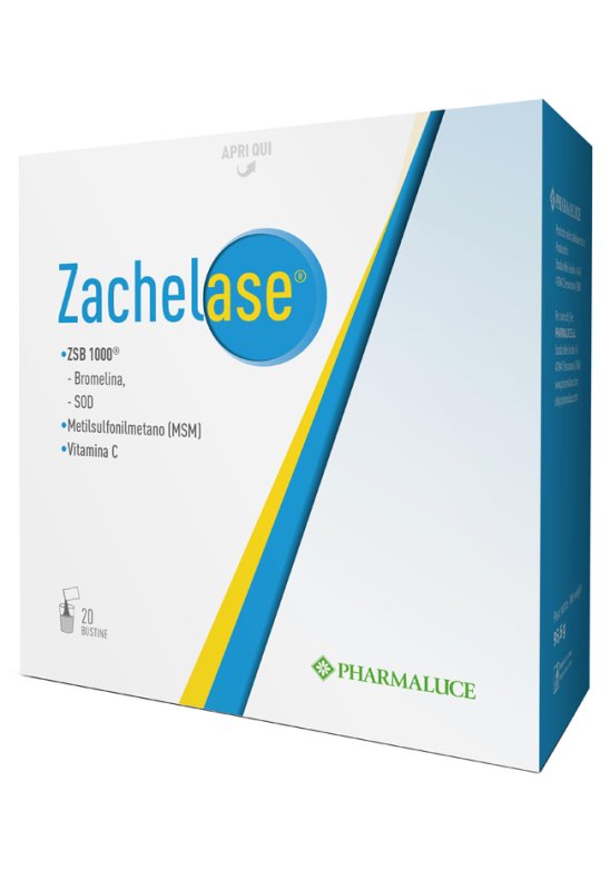 ZACHELASE 20BUST