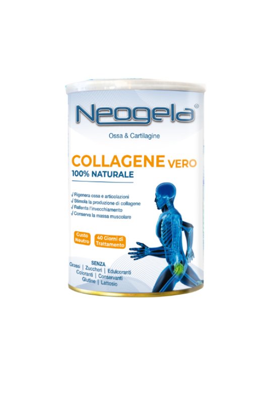 NEOGELA POLVERE 400G