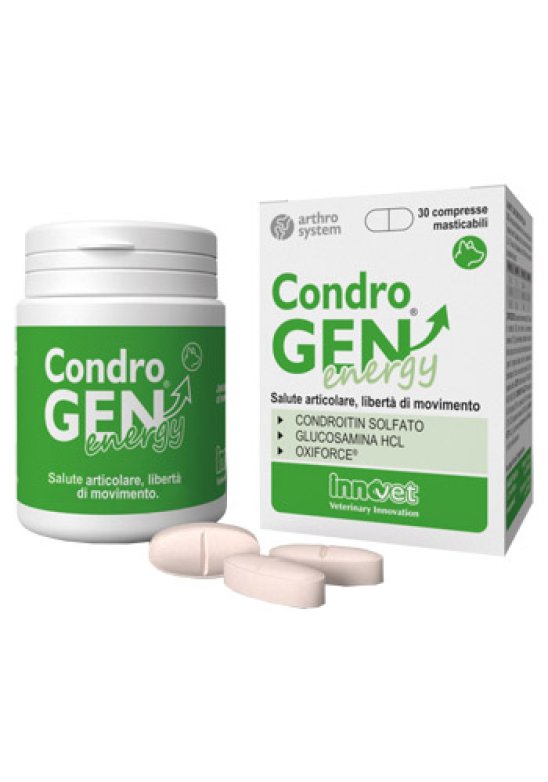 CONDROGEN ENERGY 30 Compresse MASTIC