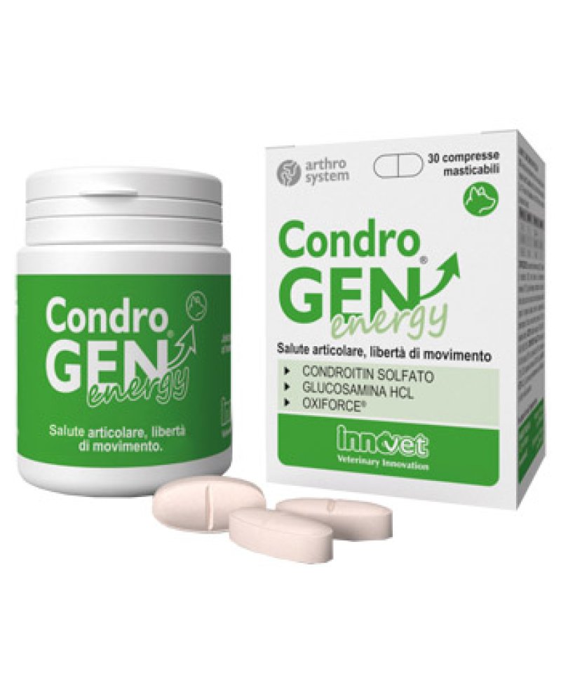 CONDROGEN ENERGY 30 Compresse MASTIC