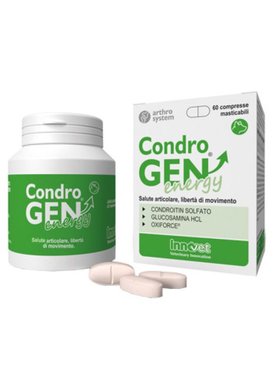 CONDROGEN ENERGY 60 Compresse MASTIC