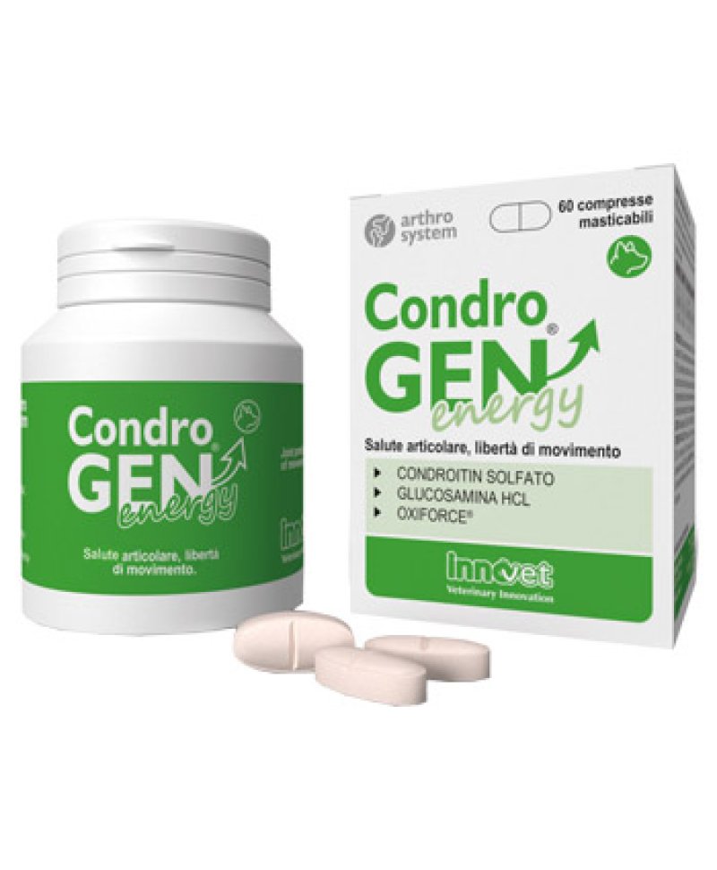 CONDROGEN ENERGY 60 Compresse MASTIC