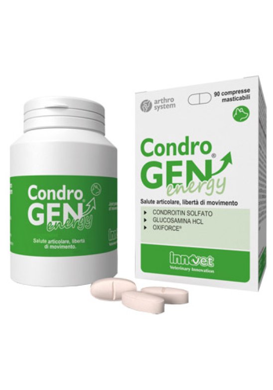 CONDROGEN ENERGY 90 Compresse MASTIC