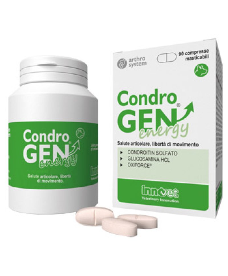 CONDROGEN ENERGY 90 Compresse MASTIC