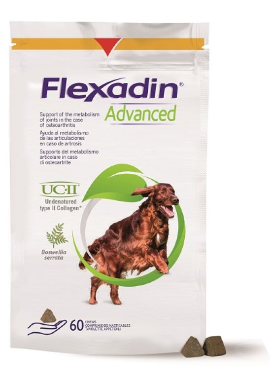 V FLEXADIN ADVANCED CANE 60TAV M