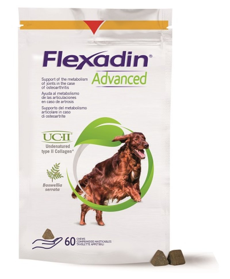 V FLEXADIN ADVANCED CANE 60TAV M