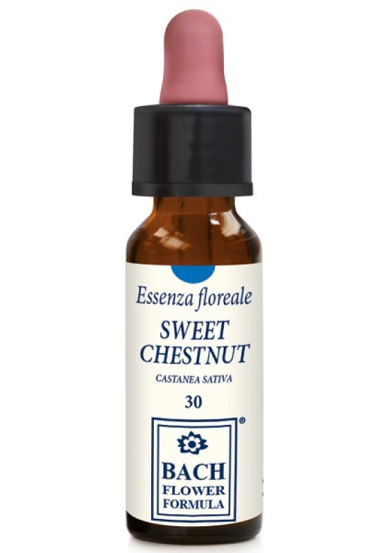 SWEET CHESTNUT ORIGINAL 10ML