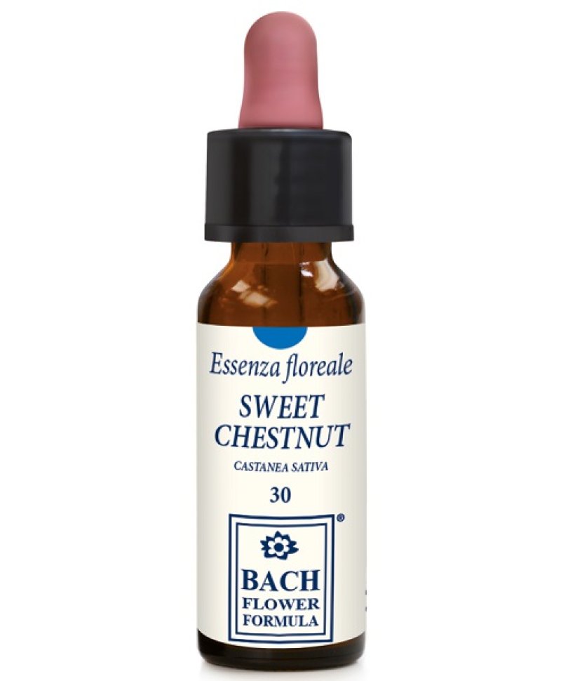 SWEET CHESTNUT ORIGINAL 10ML