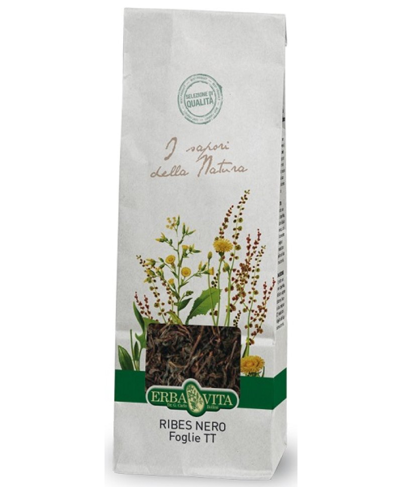 RIBES NERO FOGLIE 100G