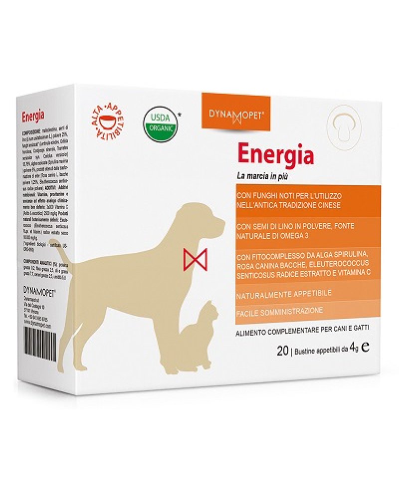 ENERGIA 20BUST 4G