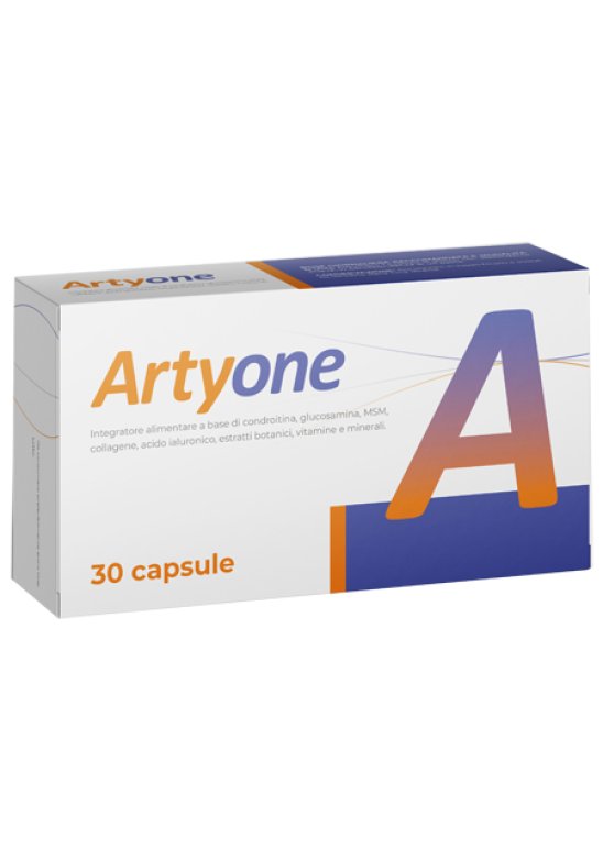 ARTYONE 30 Capsule SEIKOU