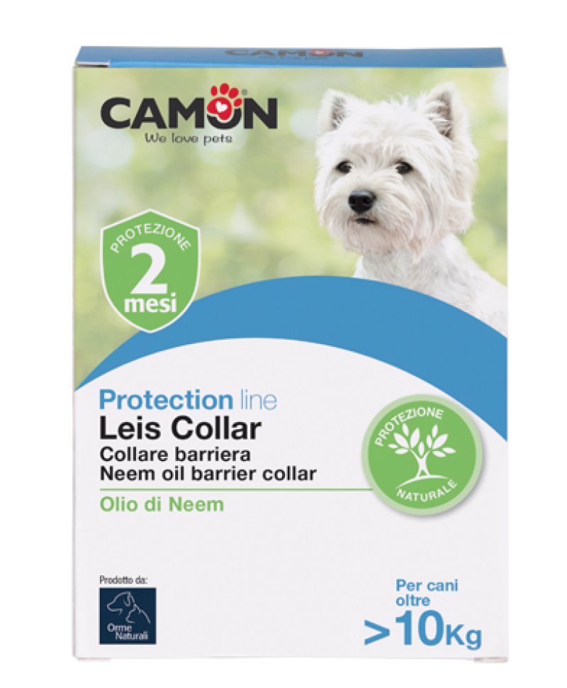 LEIS COLLARE BARRI CANE 60CM L LEIS COLLARE BARRI CANE 60CM L