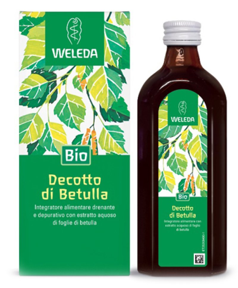 DECOTTO DI BETULLA 250ML