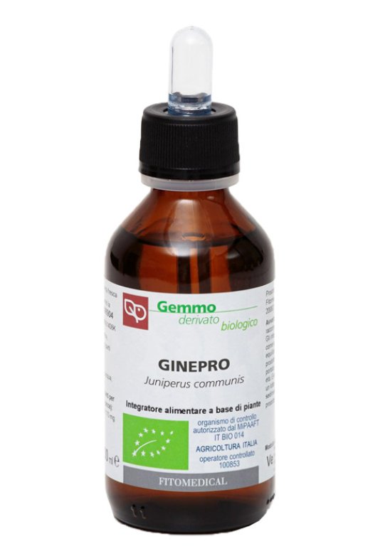 GINEPRO MG 100ML BIO GINEPRO MG 100ML BIO