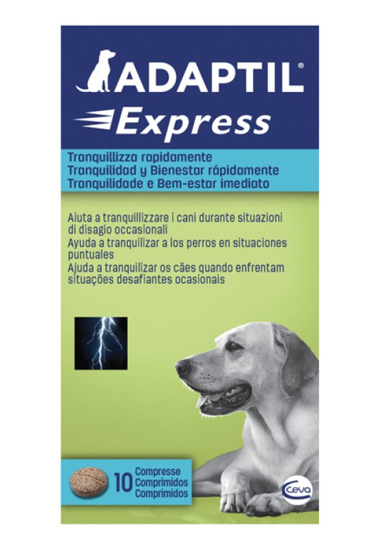 ADAPTIL EXPRESS 10 Compresse
