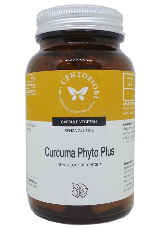 CURCUMA PHYTO PLUS 100CPS VEG