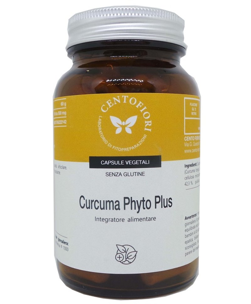 CURCUMA PHYTO PLUS 100CPS VEG