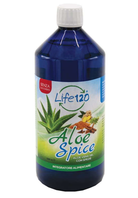 ALOE SPICE 1000ML