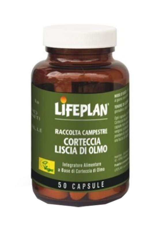 CORTECCIA LISCIA DI OLMO 50CPS