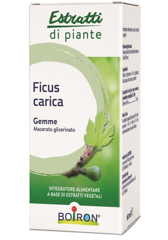 FICUS CARICA BOI MG 60ML INT