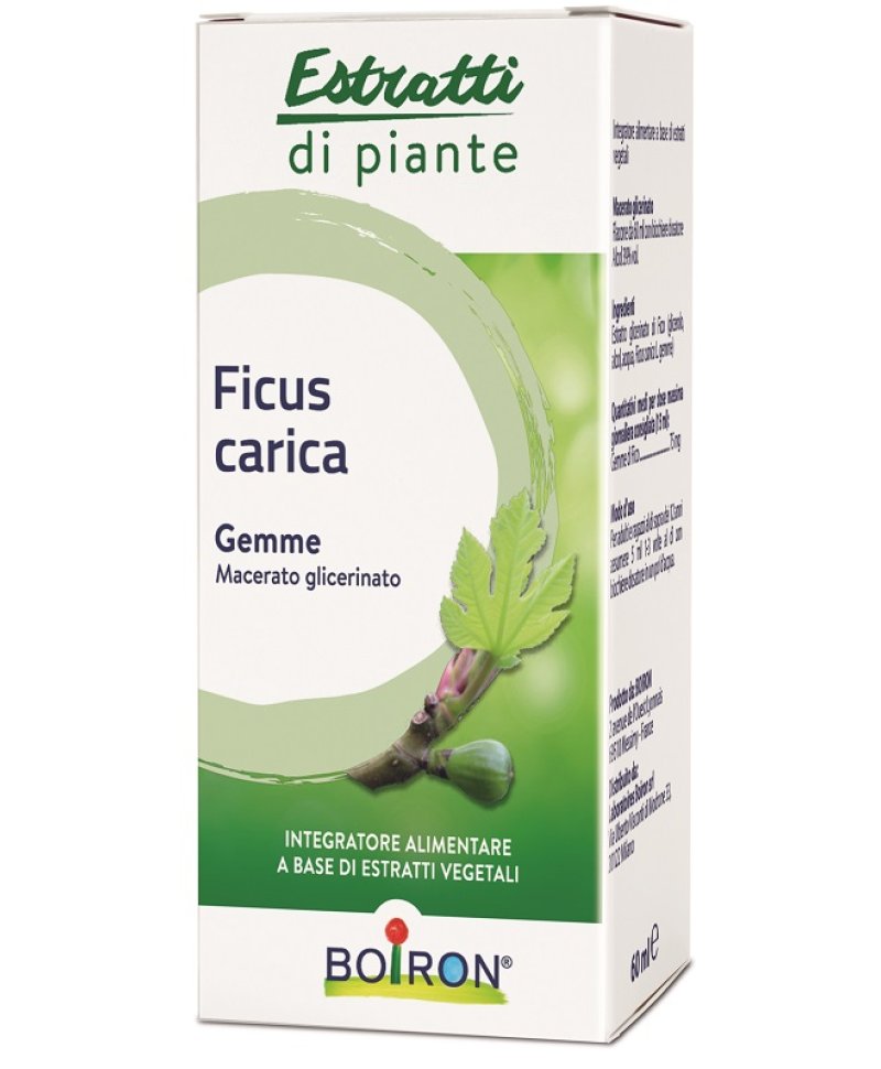 FICUS CARICA BOI MG 60ML INT