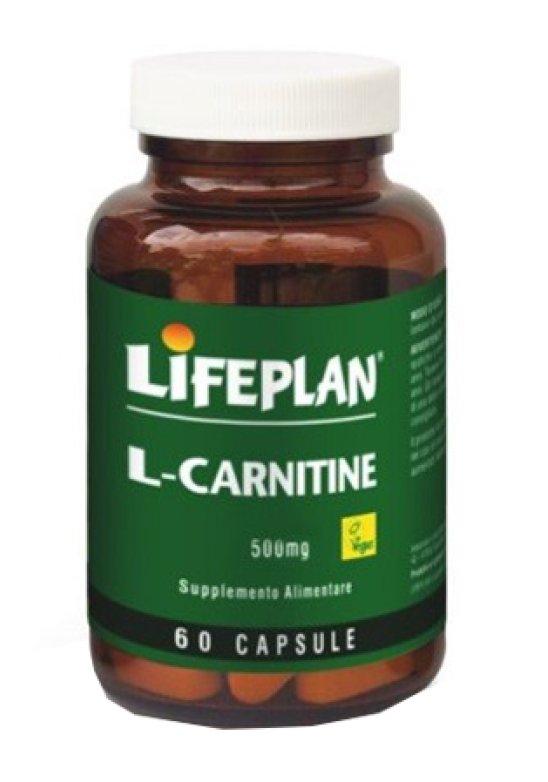 L-CARNITINE 500MG 60 Capsule