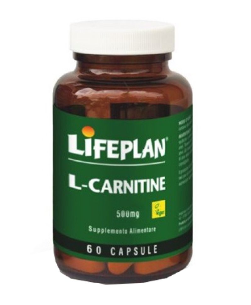 L-CARNITINE 500MG 60 Capsule