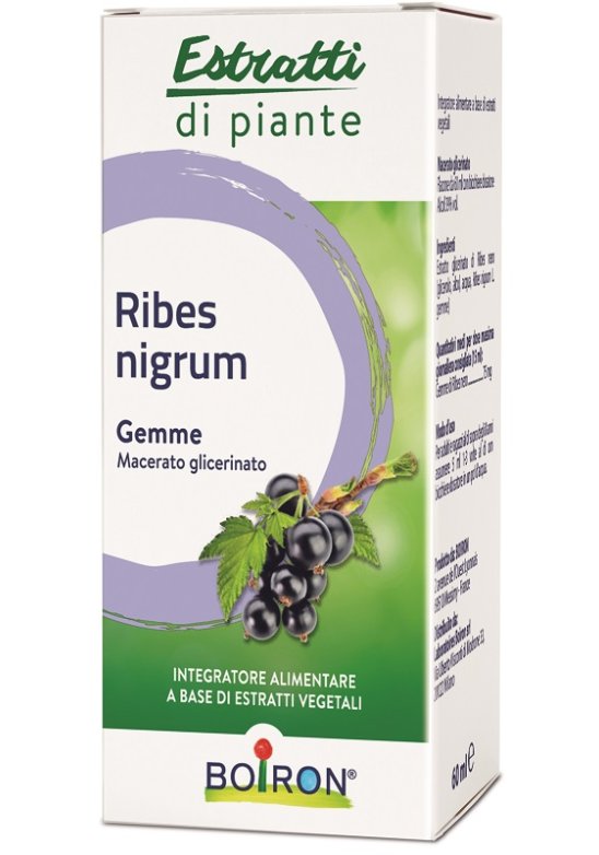 RIBES NIGRUM MG 60ML INT