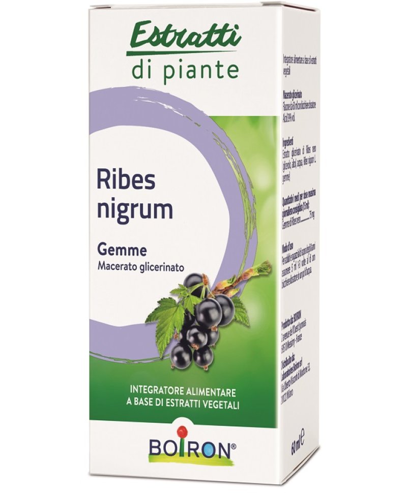 RIBES NIGRUM MG 60ML INT