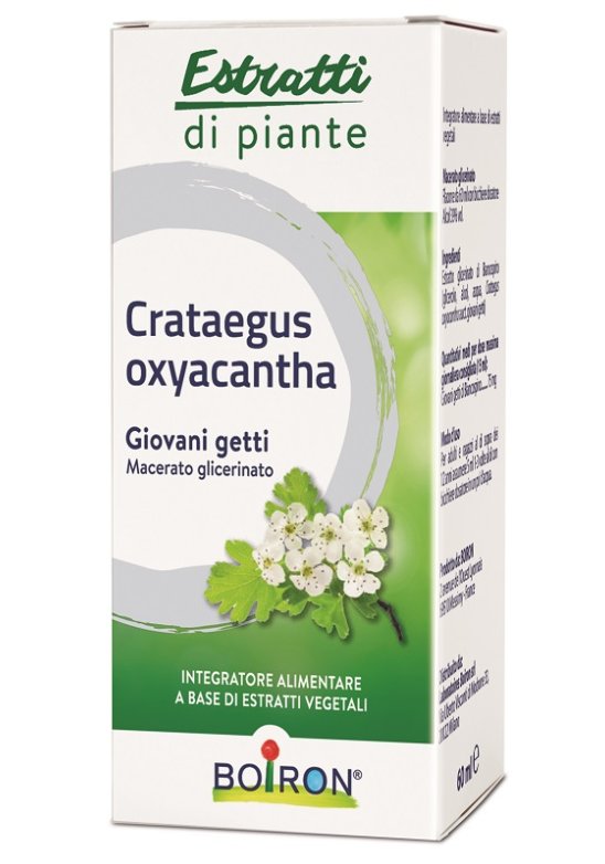 CRATAEGUS OXY MG 60ML INT