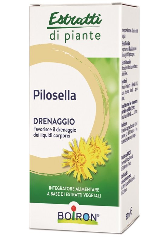 PILOSELLA INT  Gocce 60ML