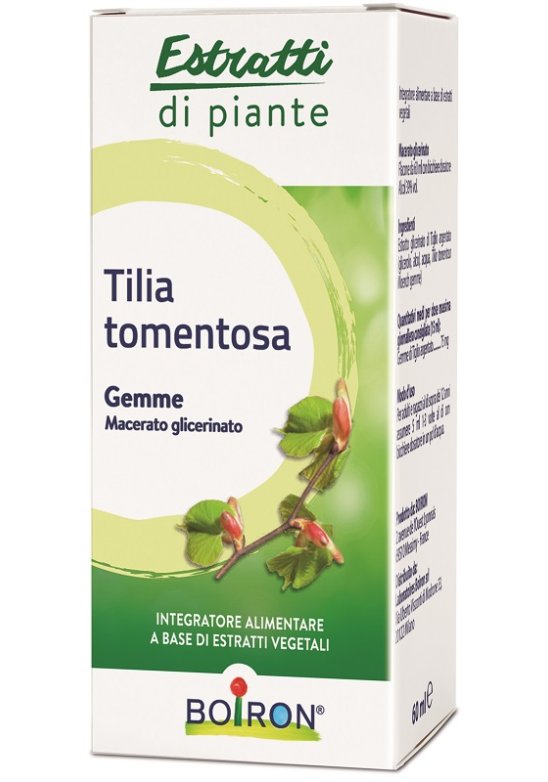 TILIA TOMENTOSA MG 60ML INT