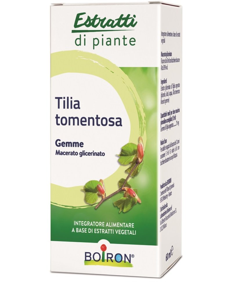 TILIA TOMENTOSA MG 60ML INT