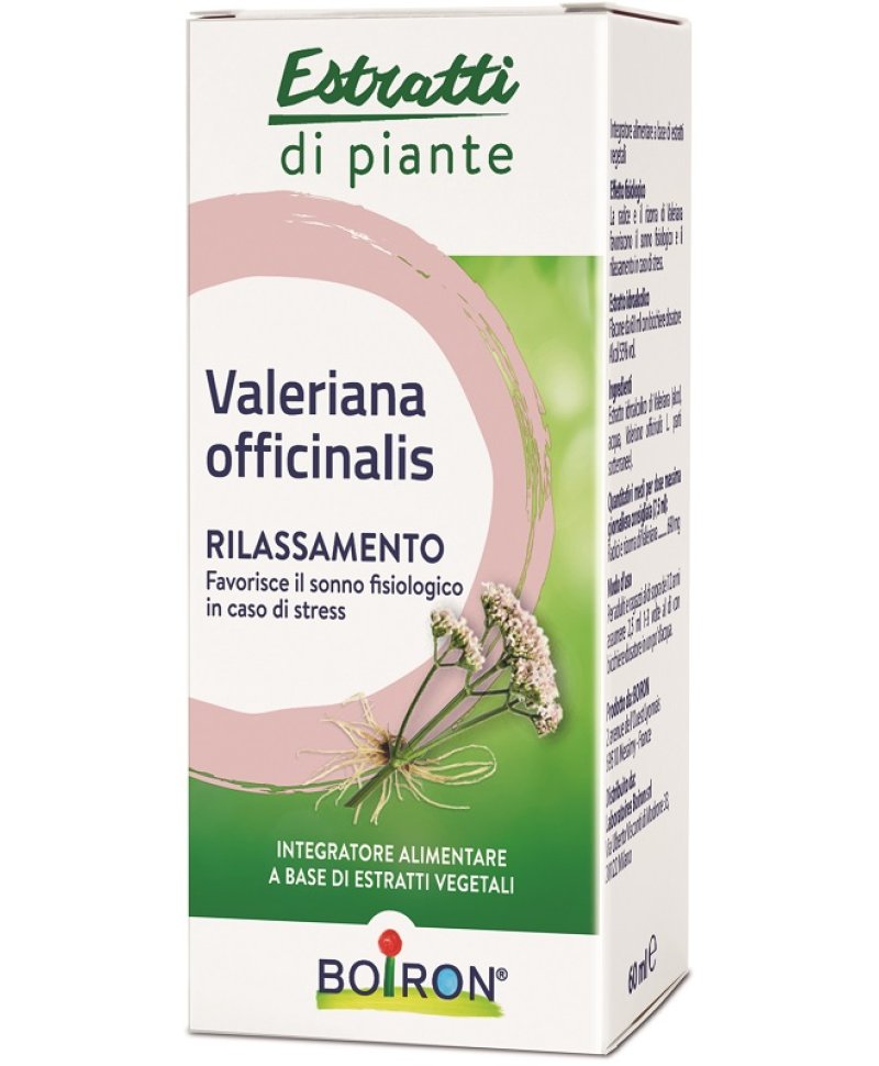 VALERIANA OFF EI 60ML INT