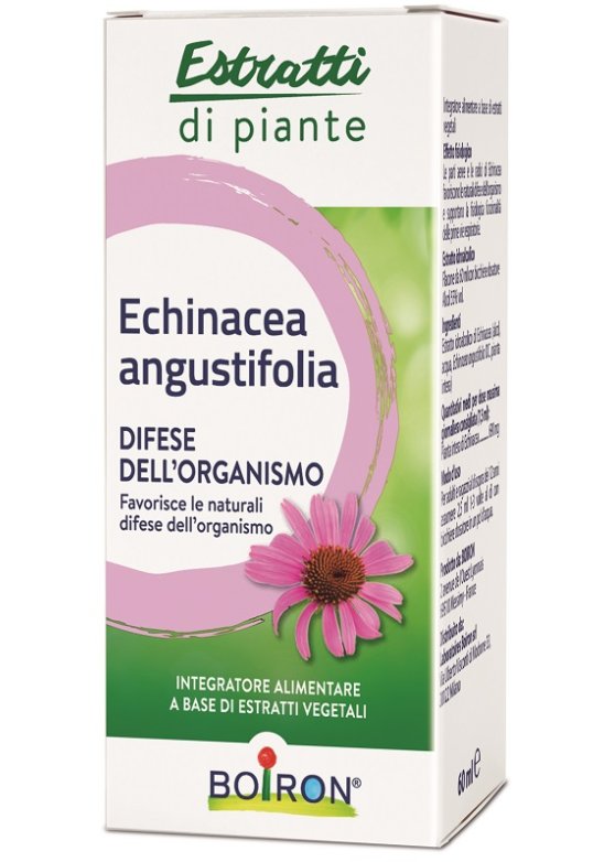 ECHINACEA ANG BOI EI 60ML INT