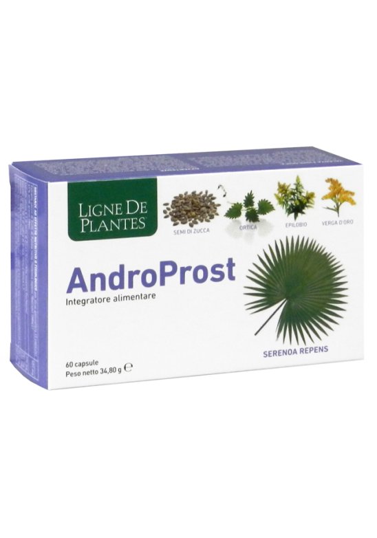 ANDROPROST 60 Capsule