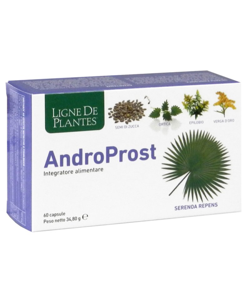 ANDROPROST 60 Capsule