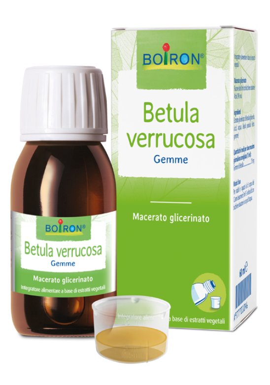 BETULA  VERRUCO MG 60ML INT BOIR