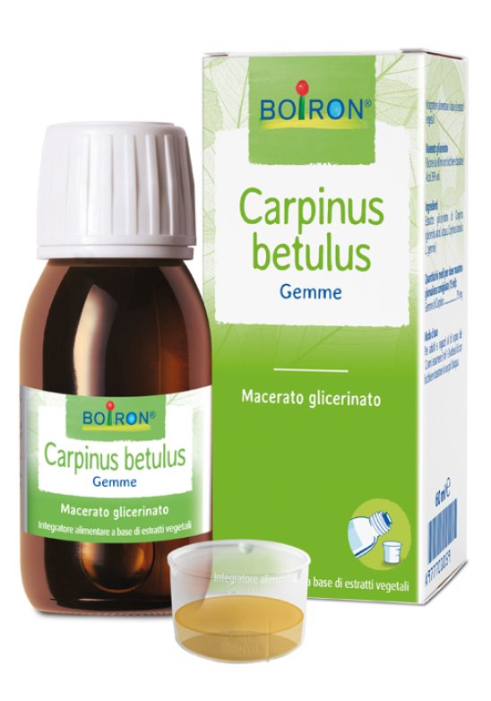 CARPINUS BETULUS MG 60ML INT