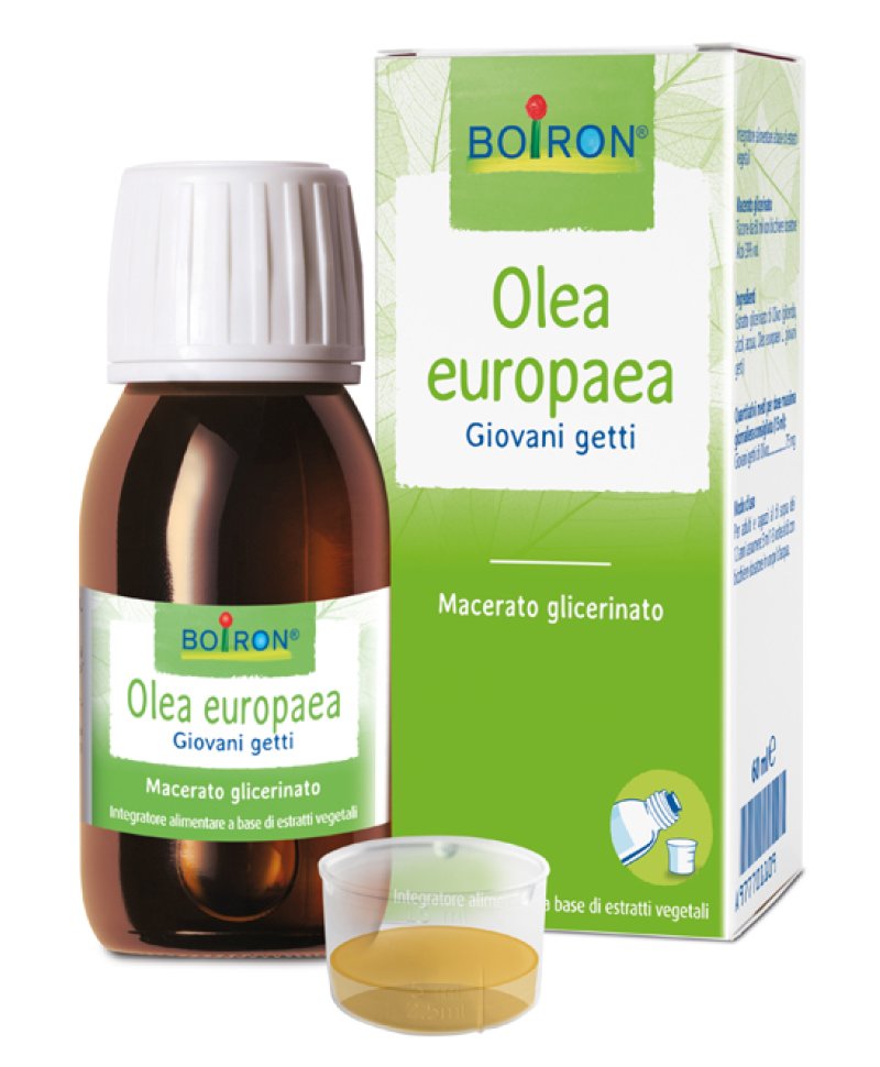 OLEA EUROPAEA MG 60ML INT