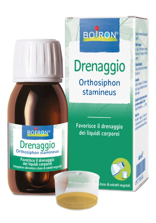 ORTHOSIPHON STA EI 60ML INT