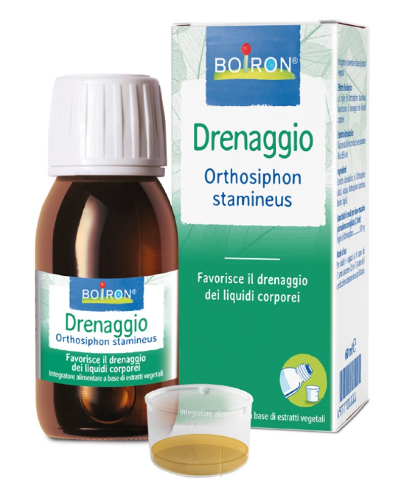 ORTHOSIPHON STA EI 60ML INT