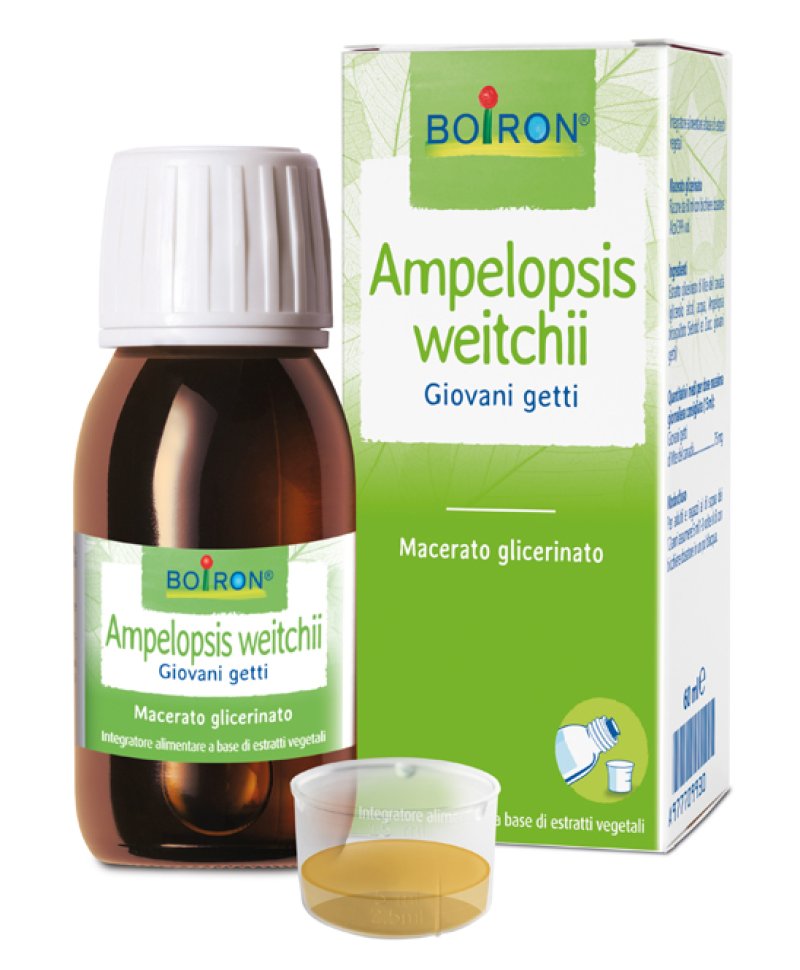 AMPELOPSIS WEI MG 60ML INT