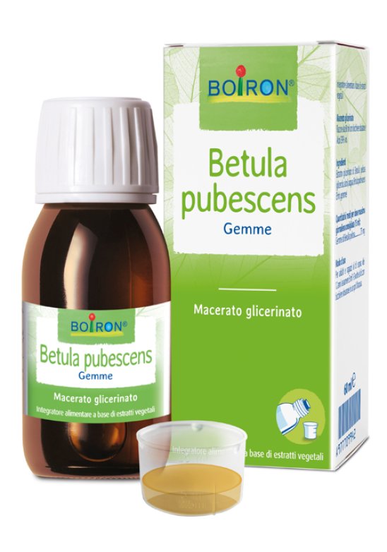 BETULA PUBESCENS MG 60ML INT