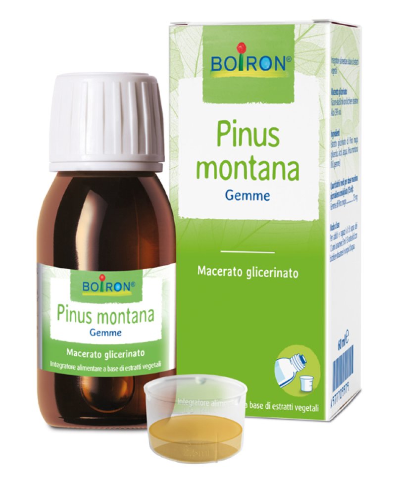 PINUS MONTANA MG 60ML INT